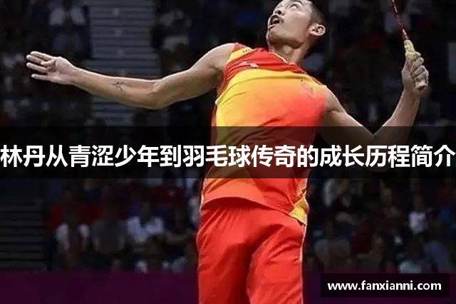 林丹从青涩少年到羽毛球传奇的成长历程简介