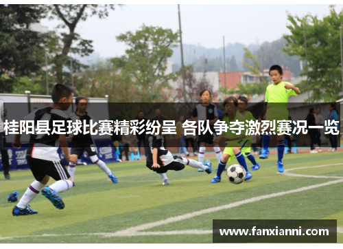 桂阳县足球比赛精彩纷呈 各队争夺激烈赛况一览